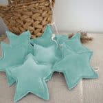 Vlaggenlijn Ster MuntVlaggenlijn