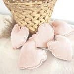 Vlaggenlijn Hart ZalmVlaggenlijn